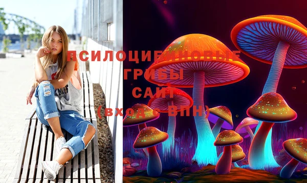 молекула духа Козельск