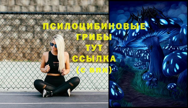 MDMA Premium VHQ Корсаков