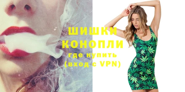ГАЛЛЮЦИНОГЕННЫЕ ГРИБЫ Костерёво