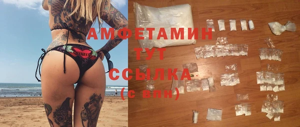 молекула духа Козельск