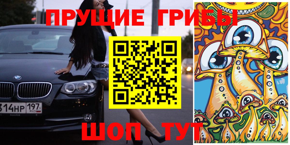 Псилоцибиновые грибы Psilocybine cubensis Краснокамск